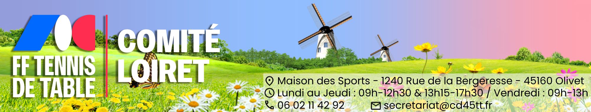 Comité du Loiret de Tennis de Table